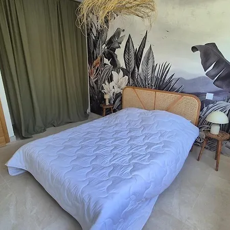 Camarines Le Grau-dʼAgde